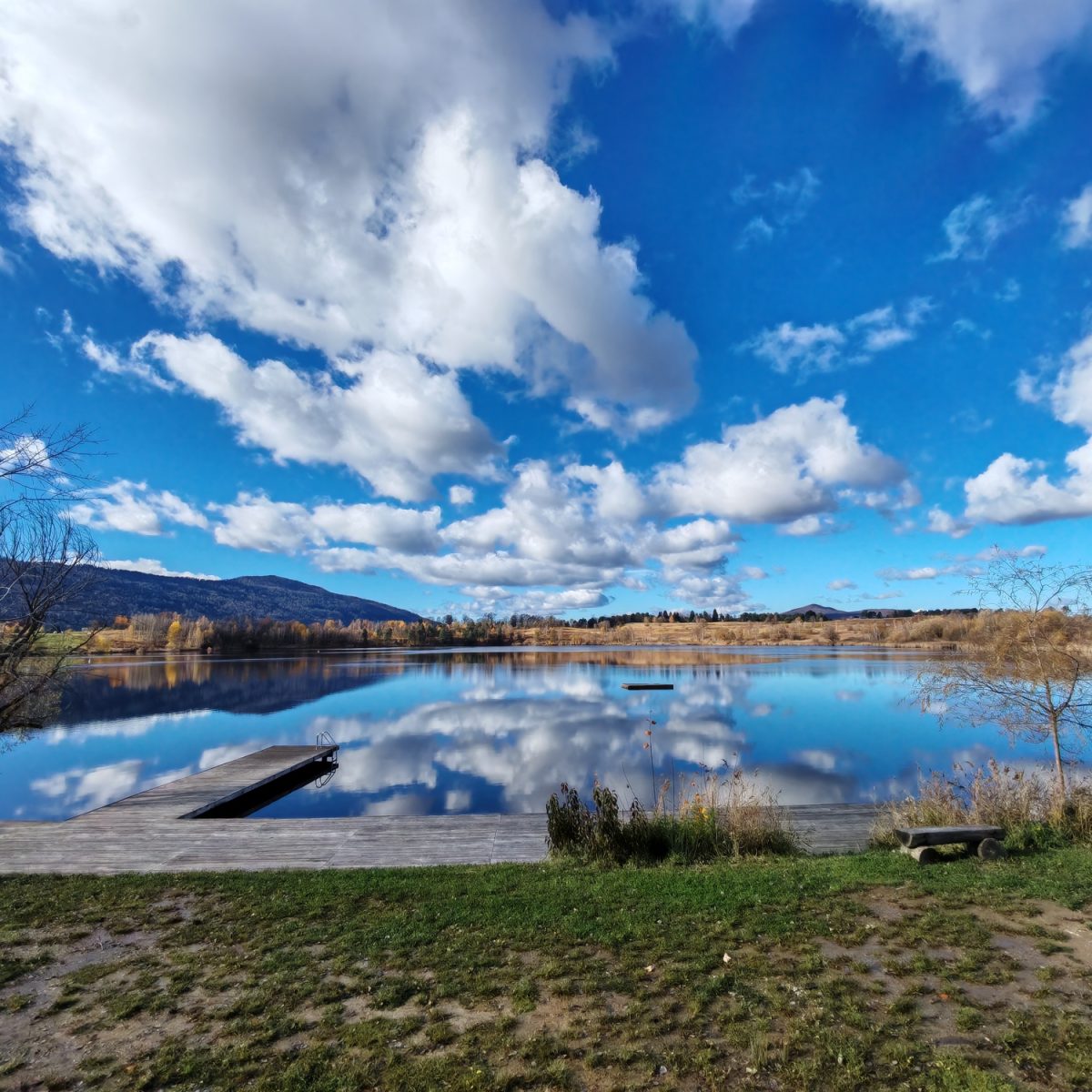 IMG_20251103_134043_resized_20260331_035525578