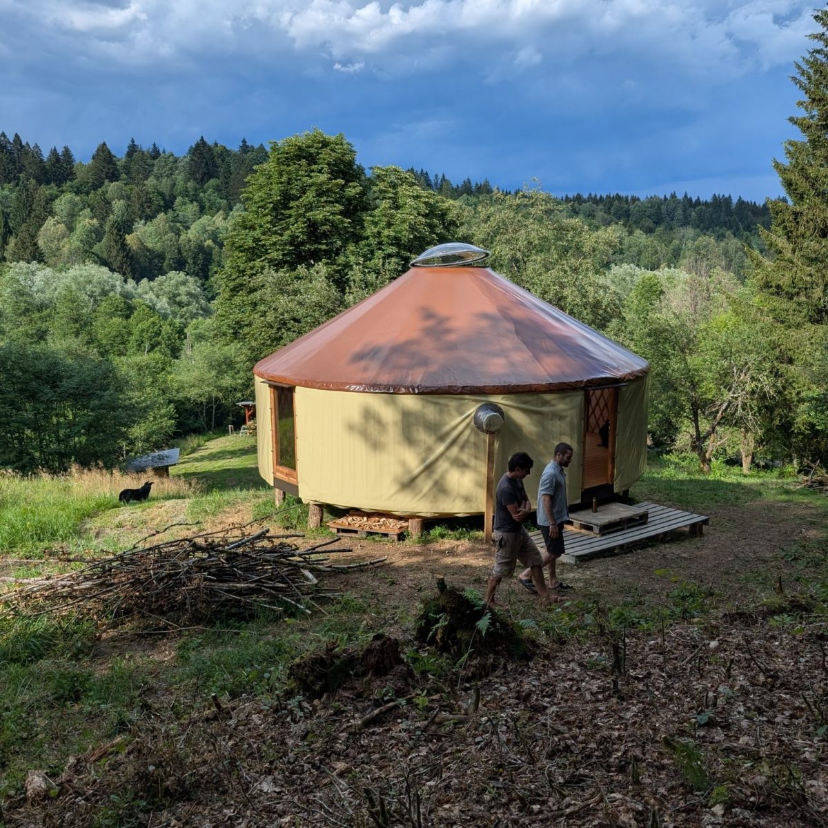 PXL_20260705_152642830